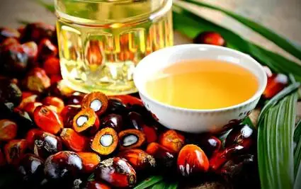 Palm Oil