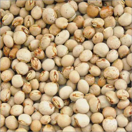 Pigeon Peas