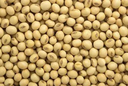 Soya Beans